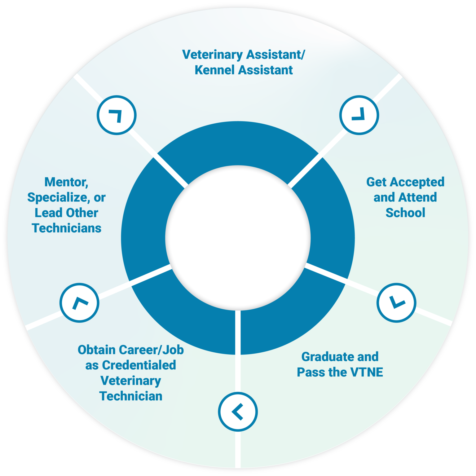 Veterinary Technician Careers Mission Veterinary Partners