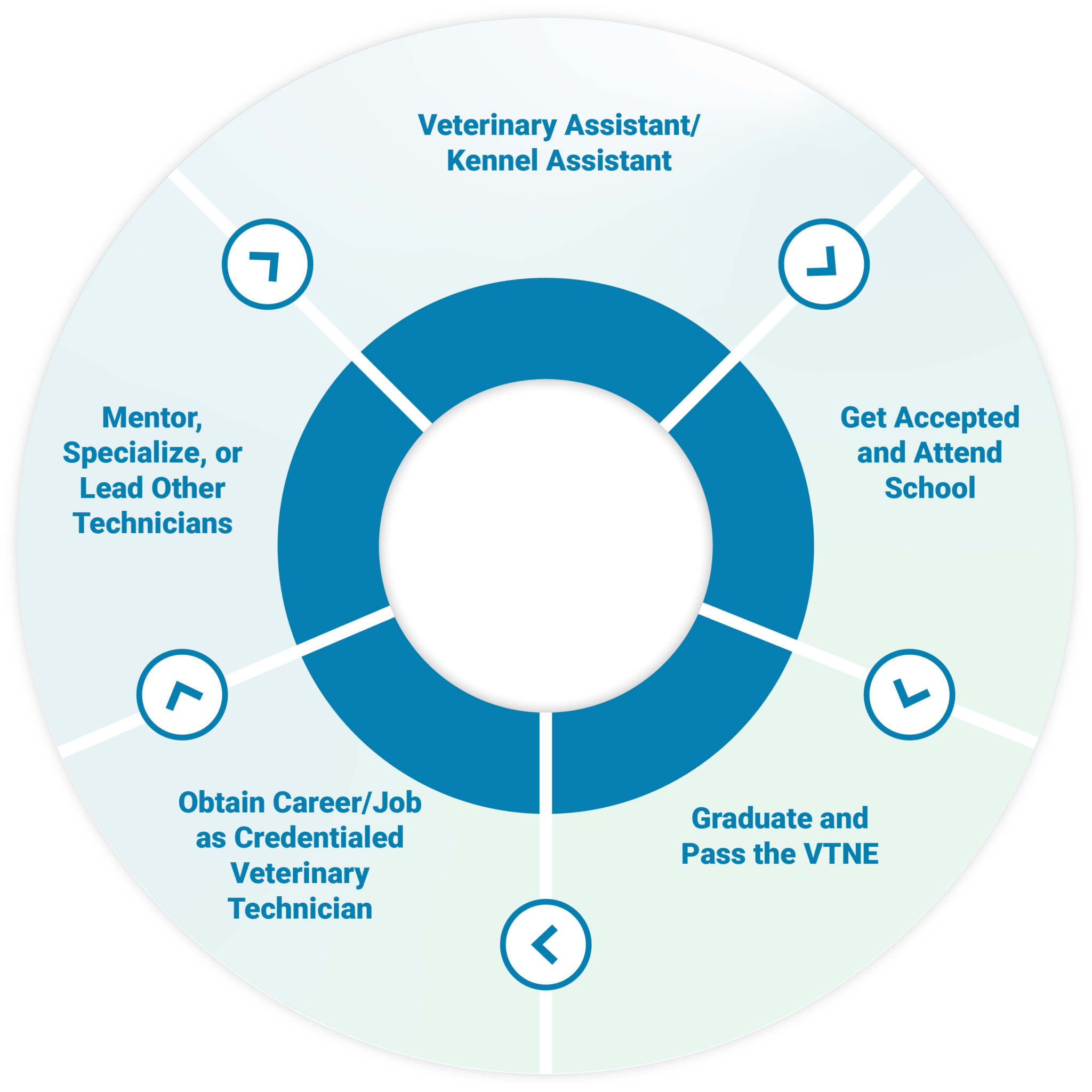 Veterinary Technician Careers Mission Veterinary Partners   Recurso 5@3x 8 1 2048x2048 